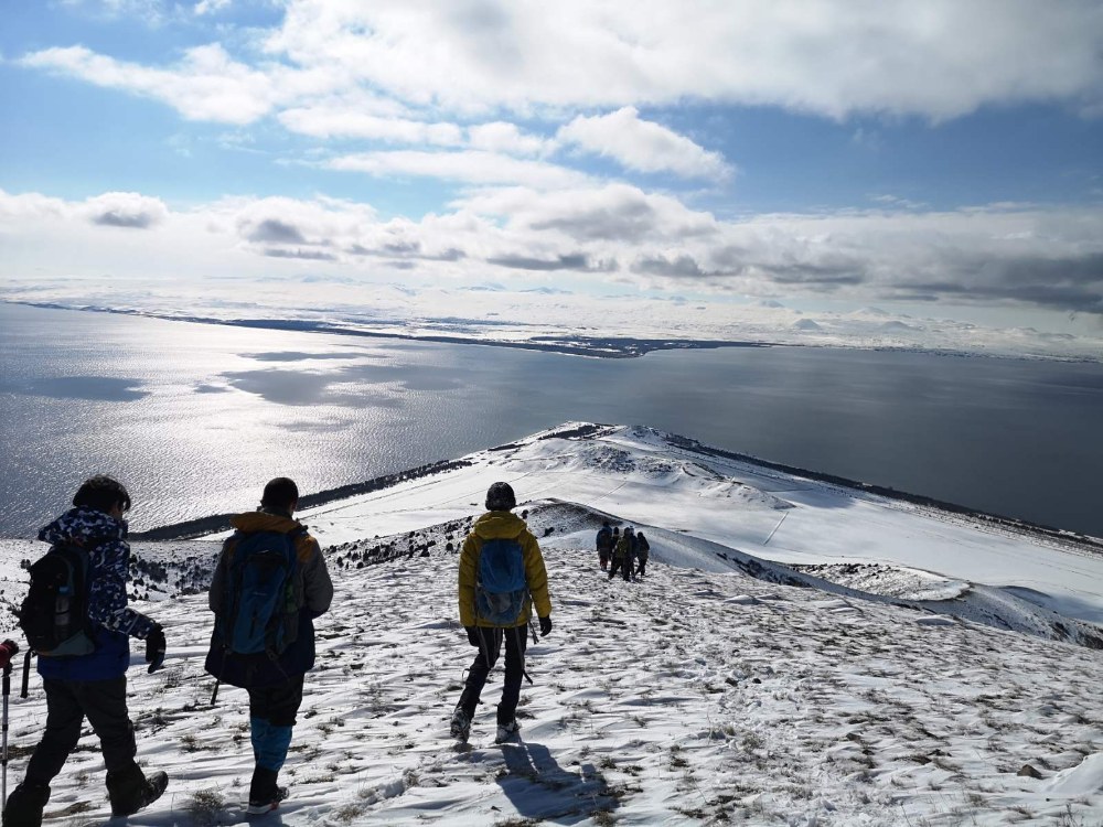 Արտանիշ ցածր որակ