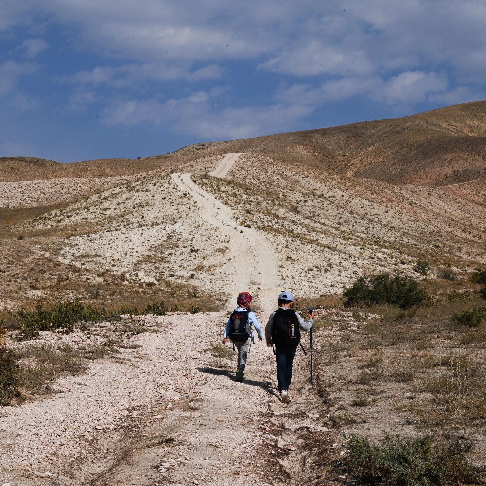 ցաժր որակ երախ